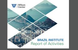 Cover - Brazil Institute Annual Report 2011-2013