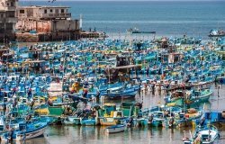 Image - Ecuador on the Frontier of a Changing Ocean