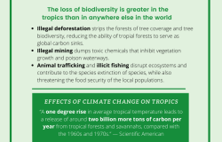 The State of the Global Tropics Infographic