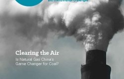 Insight Out Issue 1 Cover Photo