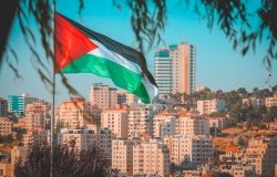 MEP_Palestinian Flag