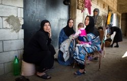 Accessing Justice for Gender-Based Violence