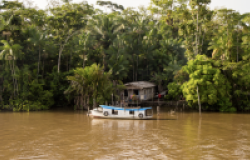 Local family home along the Amazon River, Brazil.