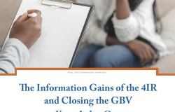 The Information Gains of the 4IR and Closing the GBV Knowledge Gap