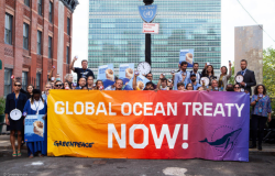 Civil society groups gathered outside the United Nations to remind delegates that time is running out and demand they produce a strong global ocean treaty under the United Nations Convention on the Law of the Sea (UNCLOS)