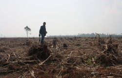 China’s Biodiversity