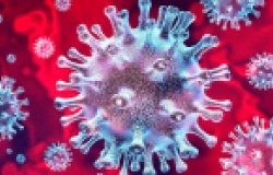 Coronavirus under microscope