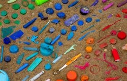 Collected plastic during Community Cleanup at the local shoreline and harbourfront of Hamilton in Spring. Plastic is sorted by colour.