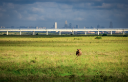 keren sgr photo