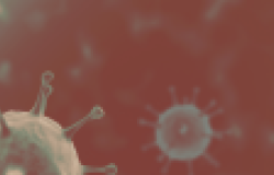  Image_CI-Canada's COVID-19 Economic Response Plan Image