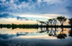 Strengthening Cooperation for Amazon Conservation and Climate Solutions