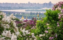 view of Kyiv from city's botanical gardens