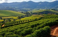 Image - Relatório Final: Diálogo Brasil-EUA sobre Sustentabilidade e Mudanças Climáticas