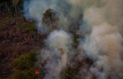 Image  - Fire in the Amazon