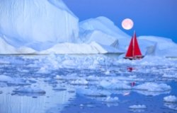 Arctic and World Order 