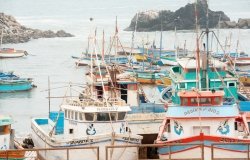 Image - Artisanal Squid Fishing in Peru Threatened by International Fleets