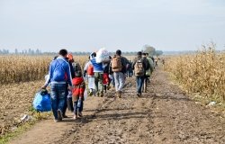 Syrian refugees crossing the border between Serbia and Croatia