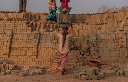  Indian workers carrying bricks on their heads to the kiln in the factory.