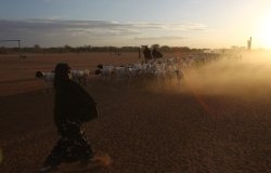 Sandstorm Sahel