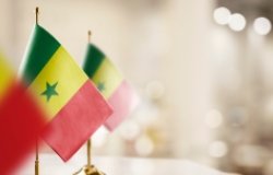 Small Senegalese Flags