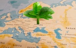 Green leaf on map sprouting from Ukraine