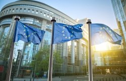 EU Flags