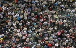 Demographics