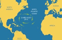 Graphic rendition of the Sargasso Sea in mid-Atlantic Ocean