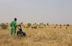 Farmer in Sahel Region