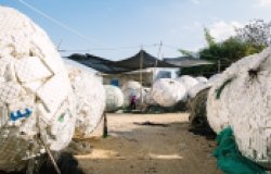 Bundles of Styrofoam