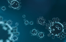 Viruses on a blue background