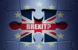 Brexit/EU puzzle piece