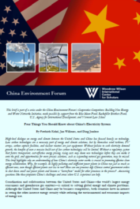 Four Things You Should Know about China's Electricity System