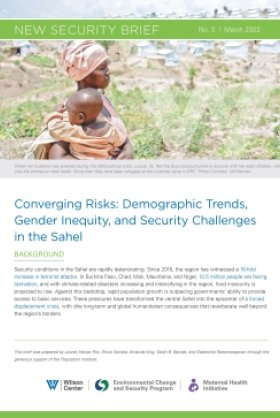 Converging Risks: Demographic Trends, Gender Inequity, and Security Challenges in the Sahel 