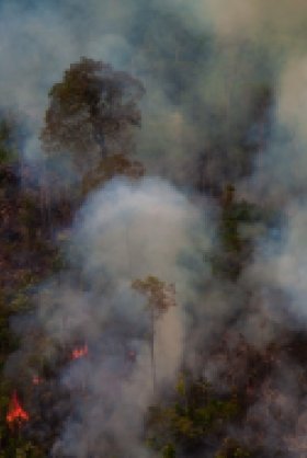 Image- Fire in the Amazon