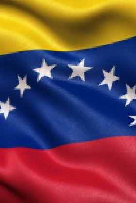  Image - Cover 2 - Venezuela’s Authoritarian Allies The Ties That Bind